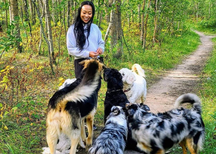 Edmonton Dog Walker Certified Dog Walkers The Leash Team